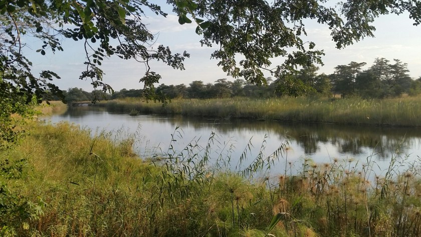 20160501_161539.jpg image