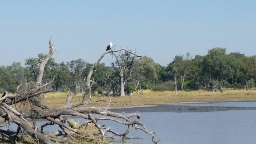 20160506_094737.jpg image